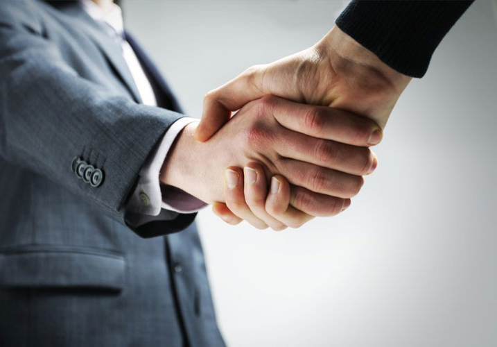 MEGA LUX PARTNERI